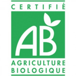 Thé vert en vrac Bergamote - Thé EARL GREY VERT Bio - Compagnie Anglaise des Thés